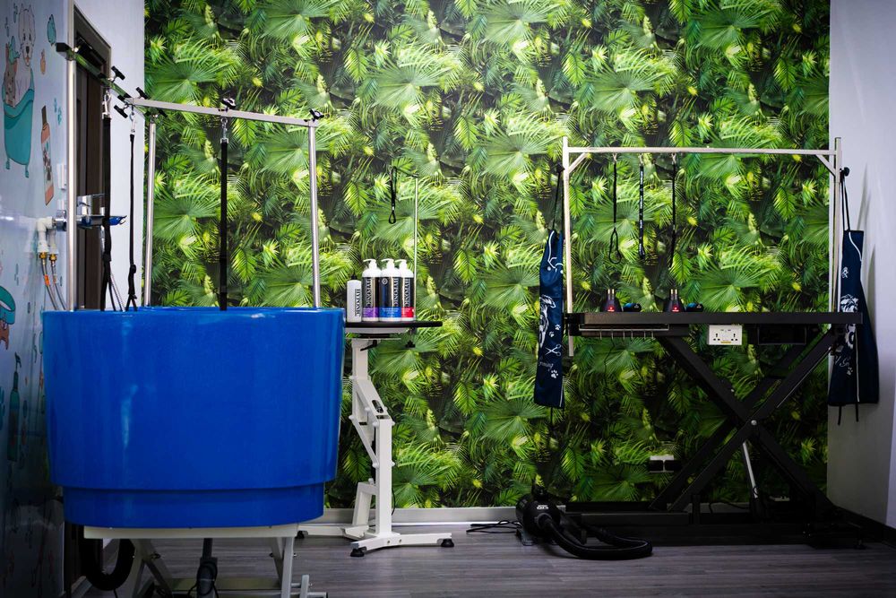 Frizerie canina și petshop