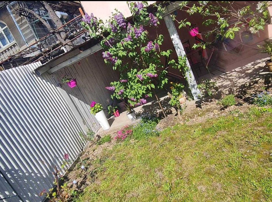 Casă de vânzare in Stei