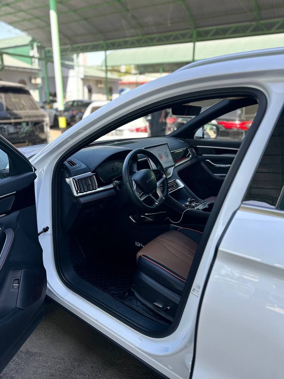 BYD CHempion gibrid 2024