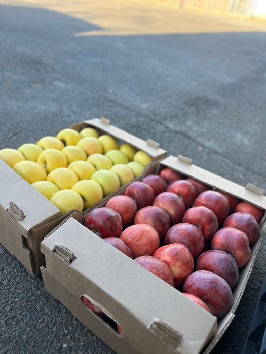 С холодильника яблоки 400тг  переборка ваша