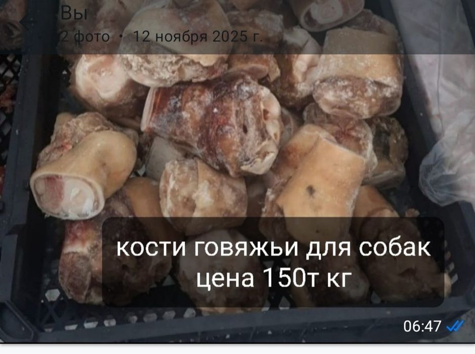 Корм для собак и кошек