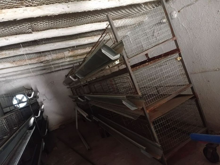 Клетка для куриц