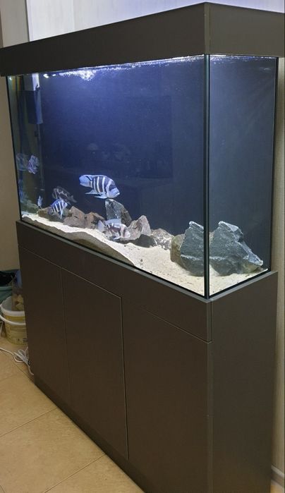 330 litr akvarium sotiladi