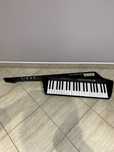 Korg Remote Keyboard RK-100