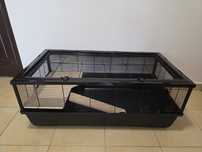 Cusca hamster sirian / pitic