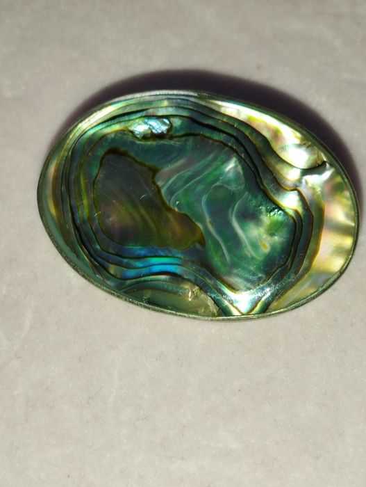 Broșă  Abalone, eleganta