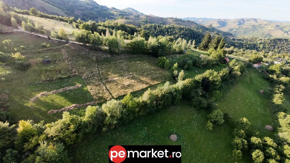 Teren de vânzare – Poiana Mărului, Brașov