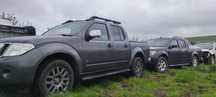 Bloc motor-chiuloasa nissan navara pathfinder xtrail cabstar maxity