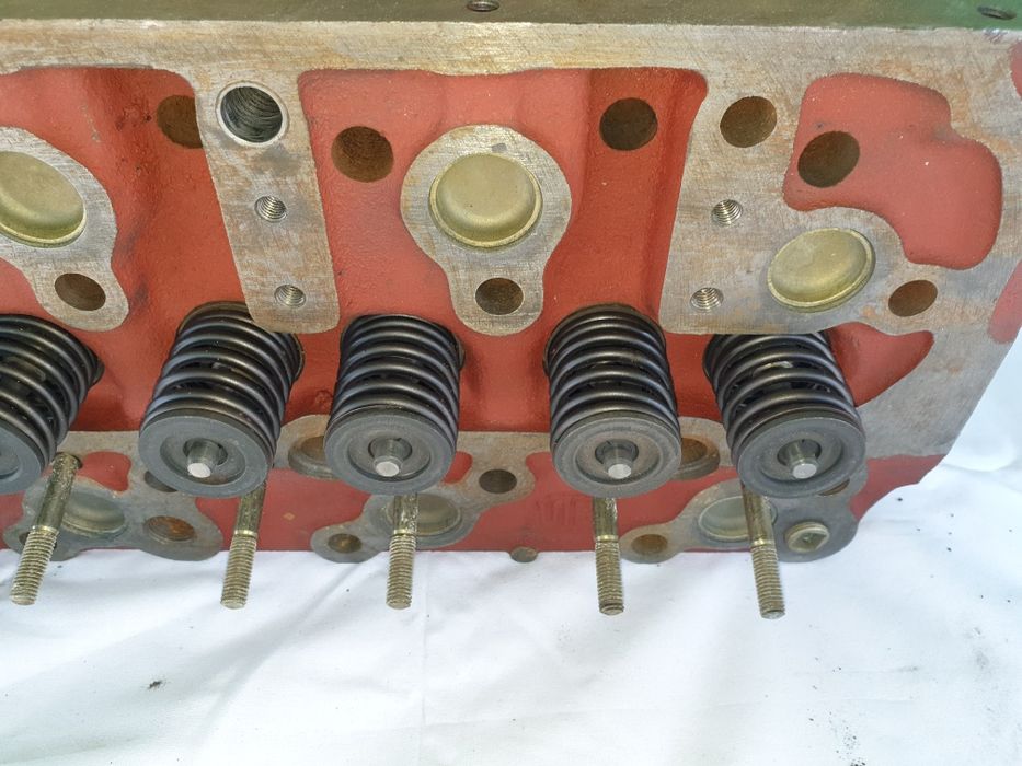 Chiuloasa asamblata U445