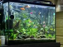 Vand acvariu 80 L complet