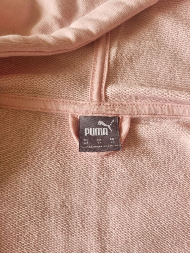Trening puma nou