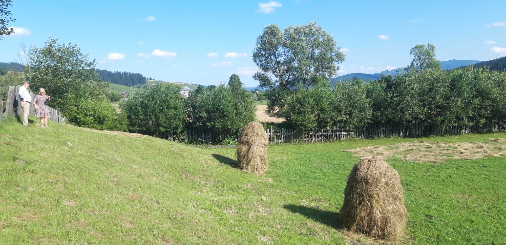 Teren la Vatra Moldoviței, la strada principală