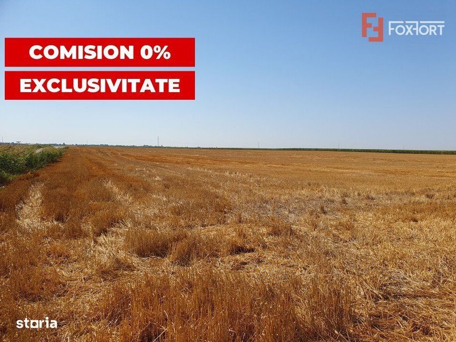 COMISION 0% Teren extravilan 4,47 ha, 800m front stradal, Peciu Nou -