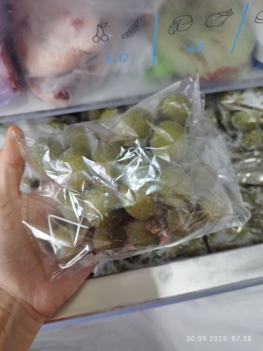 Dovuchcha arzon narxda