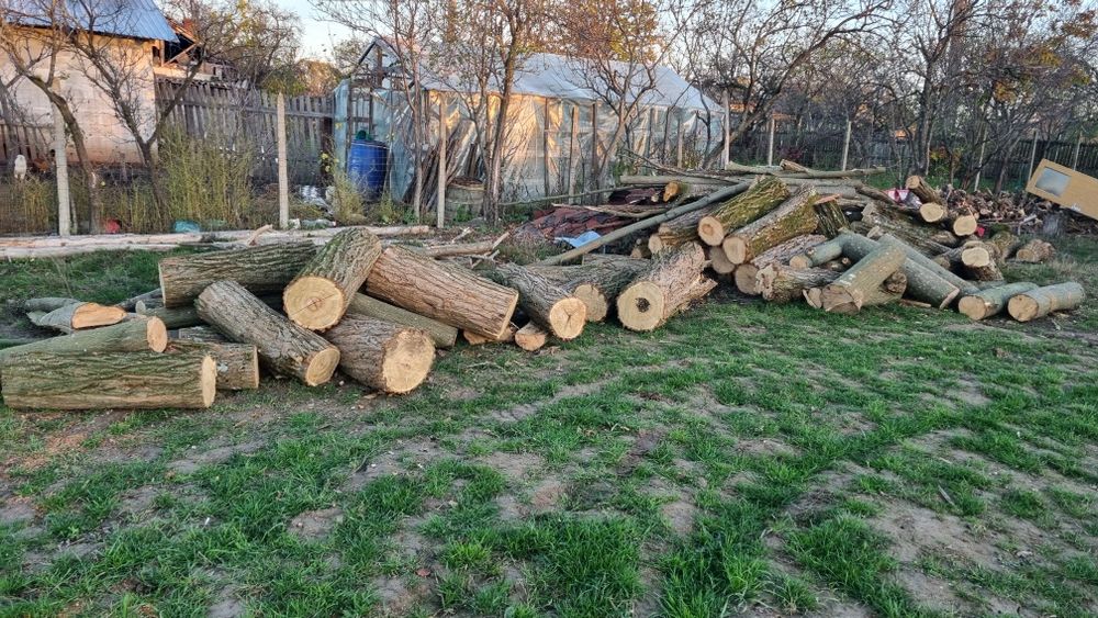 Lemne Smeura salcâm și carpen