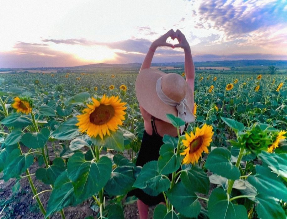 Teren intravilan lângă pădure