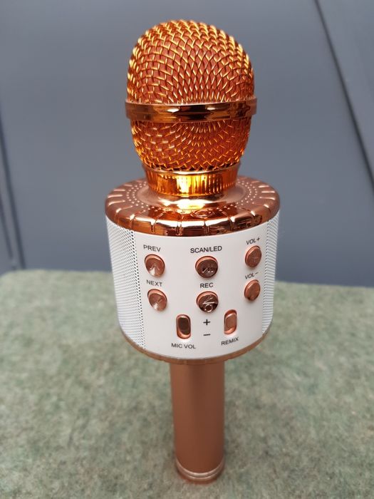 Microfon karaoke wireless