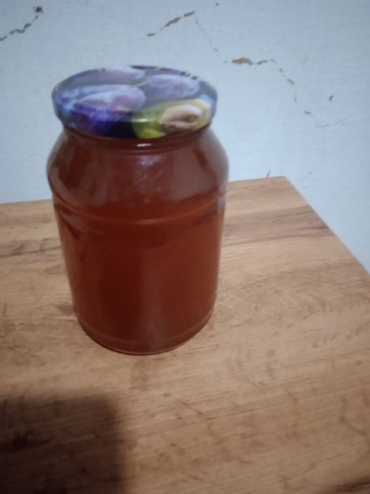 Toʻgʻ asali narxi kelishiladi optim olganlarga