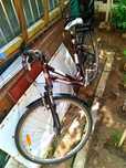 Bicicletă damă cu portbagaj și husă