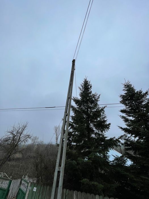 Brad natural ,13-15 metri