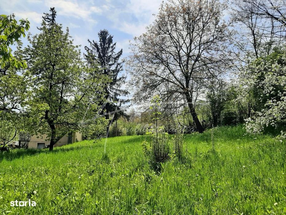 Teren intravilan cu casa- 1740 mp. in Provita de Sus-PH