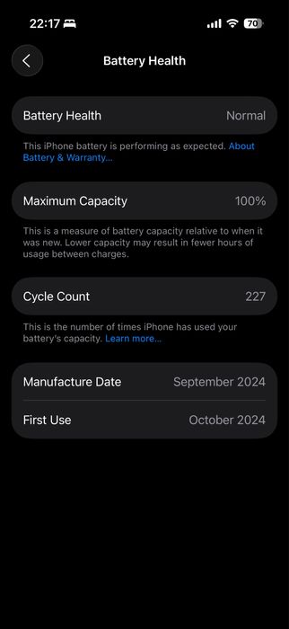 iPhone 16 Pro 256GB 100%