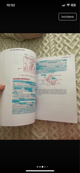 Az ember anatomiaja es elettana