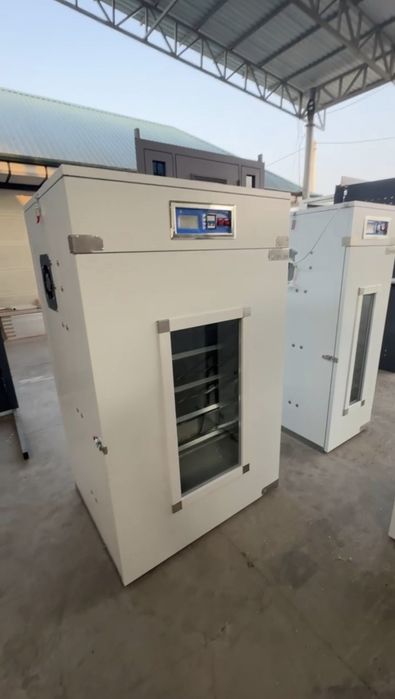 Inkubator xizmati jo'ja joja tuxum