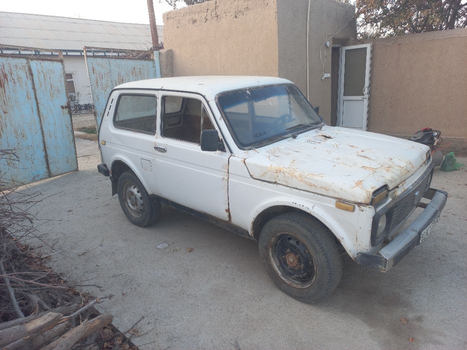 Niva sotiladi kelishamiz