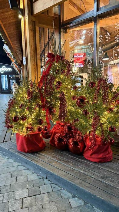 Елка живая купить, доставка живых елок, новогодние елки в горшке ель