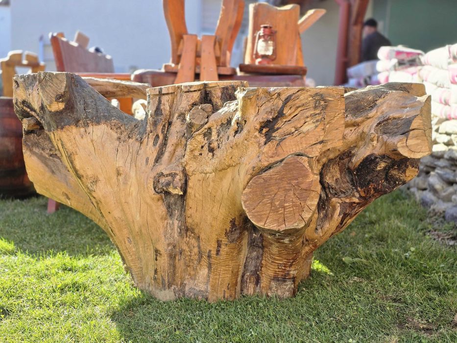 Vand radacina perfecta pt masa sau ca decoratiune