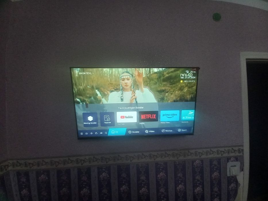 Televizor va Muzlatgich