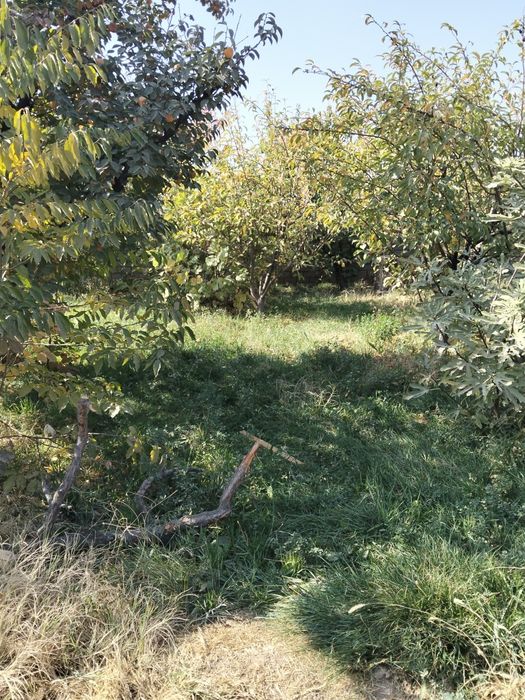 Ер сотилади 4 сотих