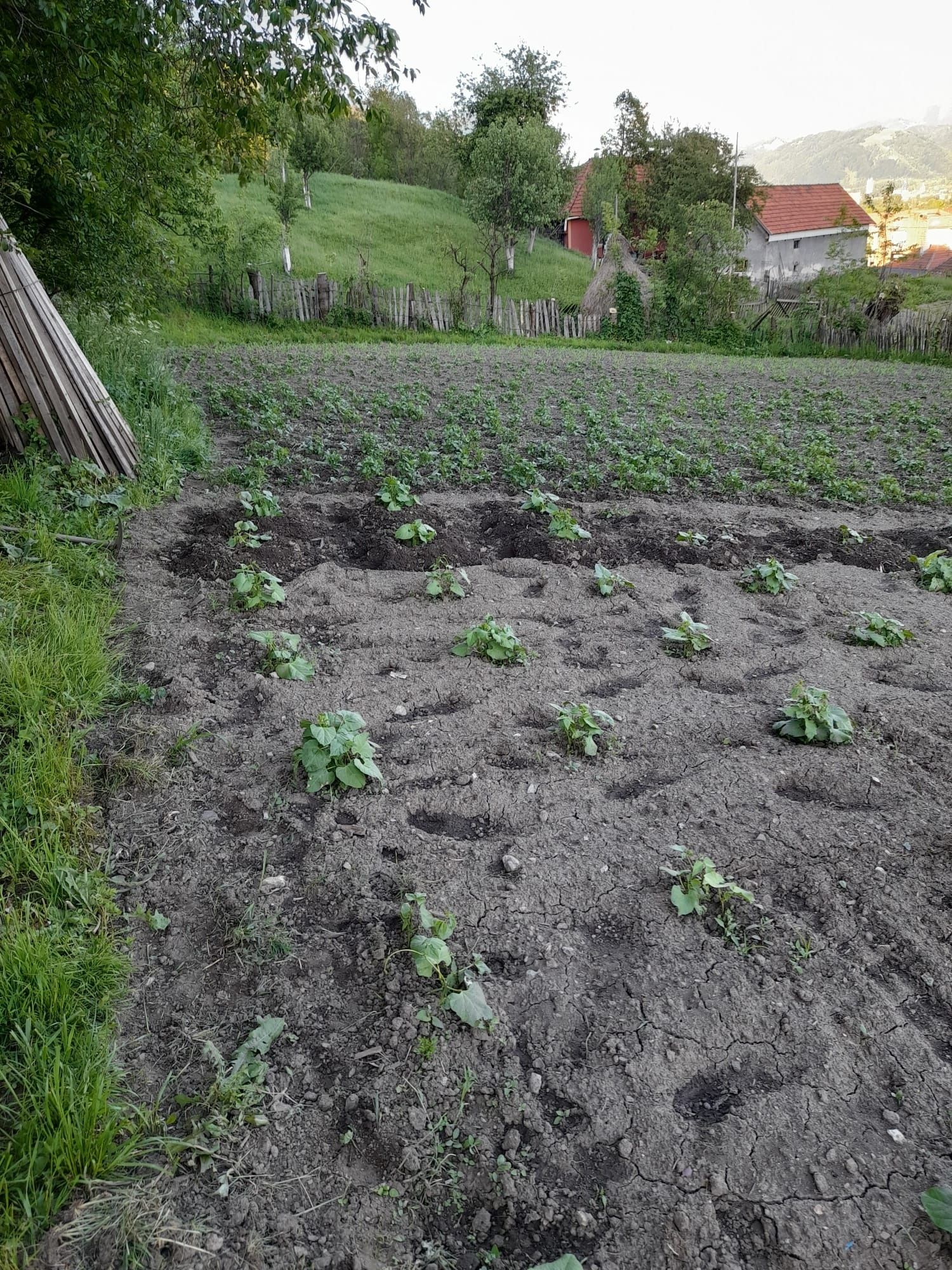 Vând teren intravilan în suprafață de 860mp