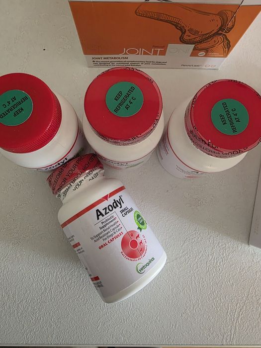 Добавка за кучета и котки при бъбречна недостатъчност