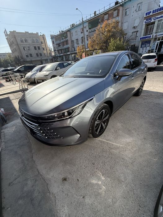 Chazor 2023  kraska toza