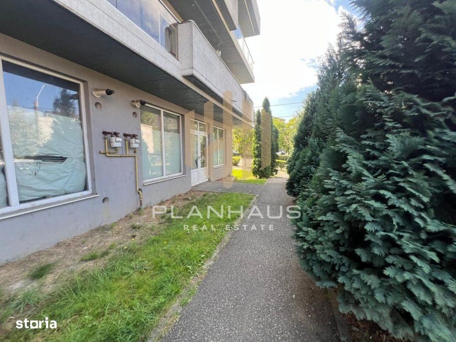 Spatiu comercial V.Alecsandri ,120 mp ,ideal activitati comerciale /ca