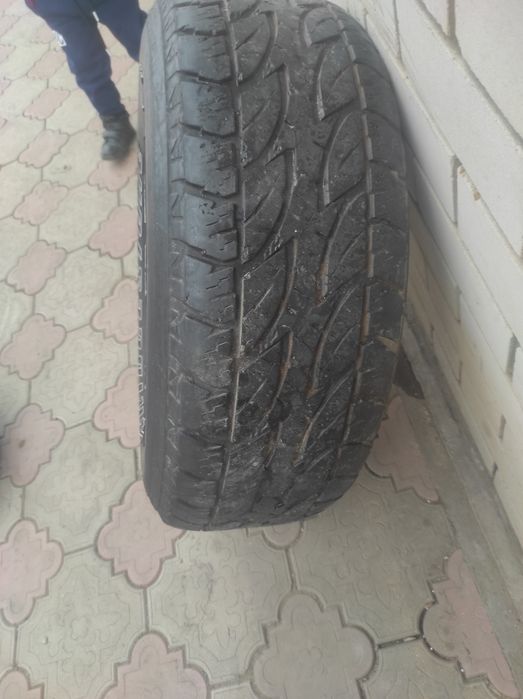 R16 Шино с дискоми