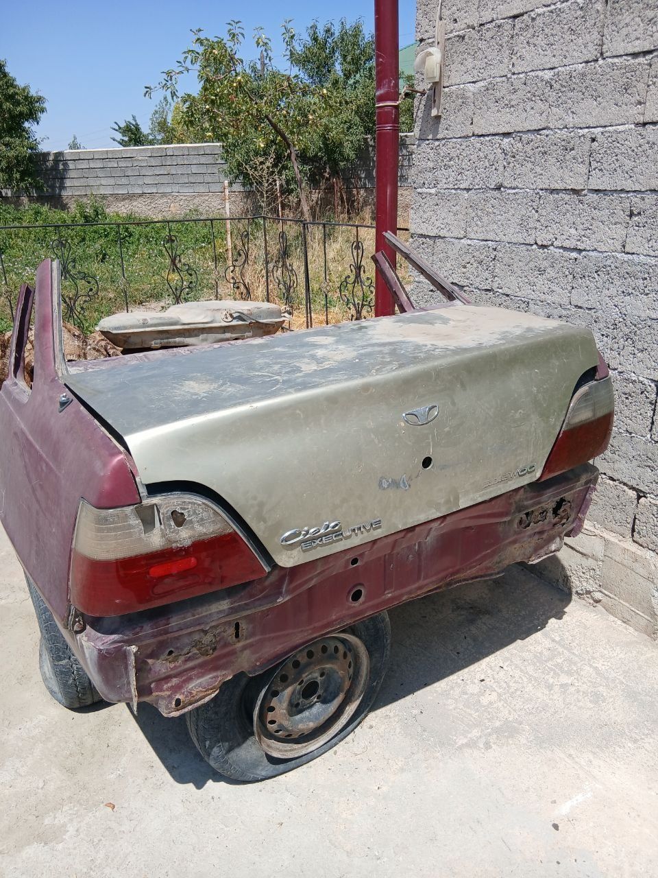 Neksiya zadok bagaji bilan