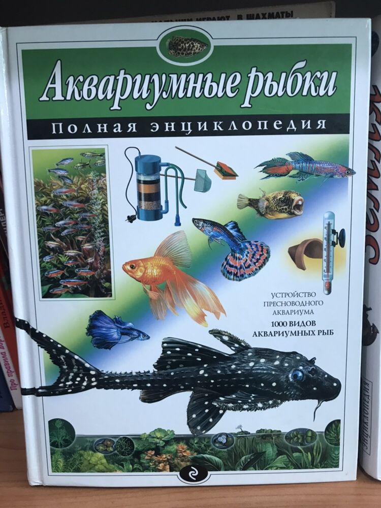 Книги.