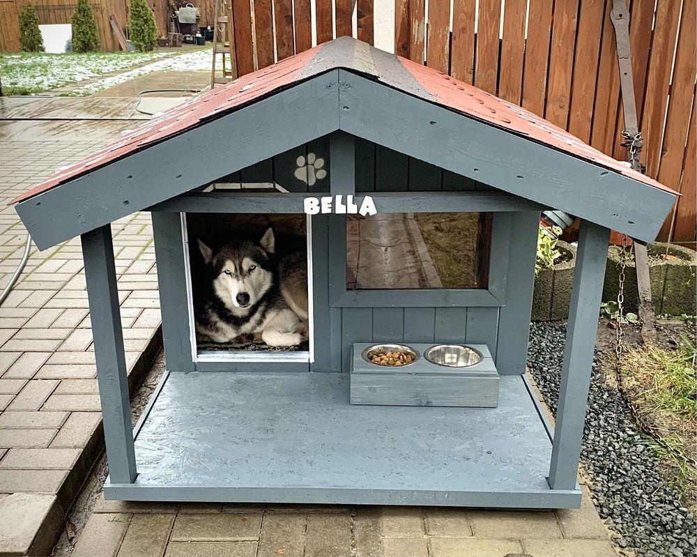 Cusca câine izolată cu terasă