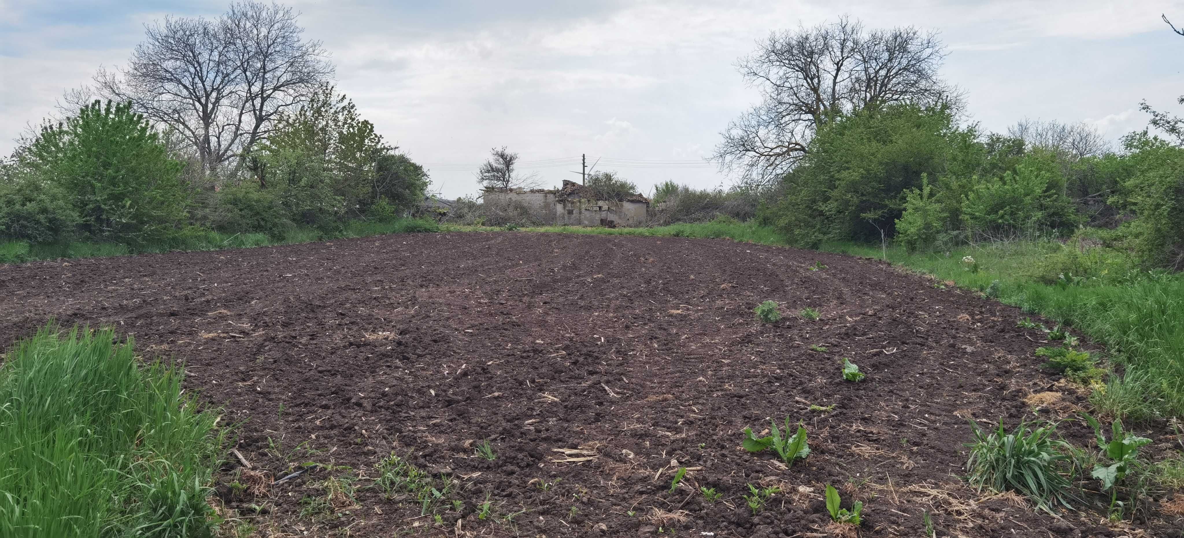 Парцел с къща в регулация в село Могилище 2718кв.м
