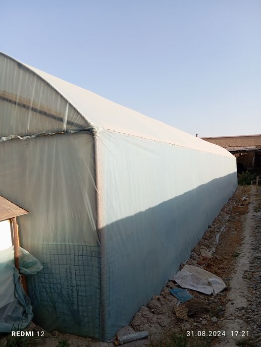 Иссикхона уголникдан