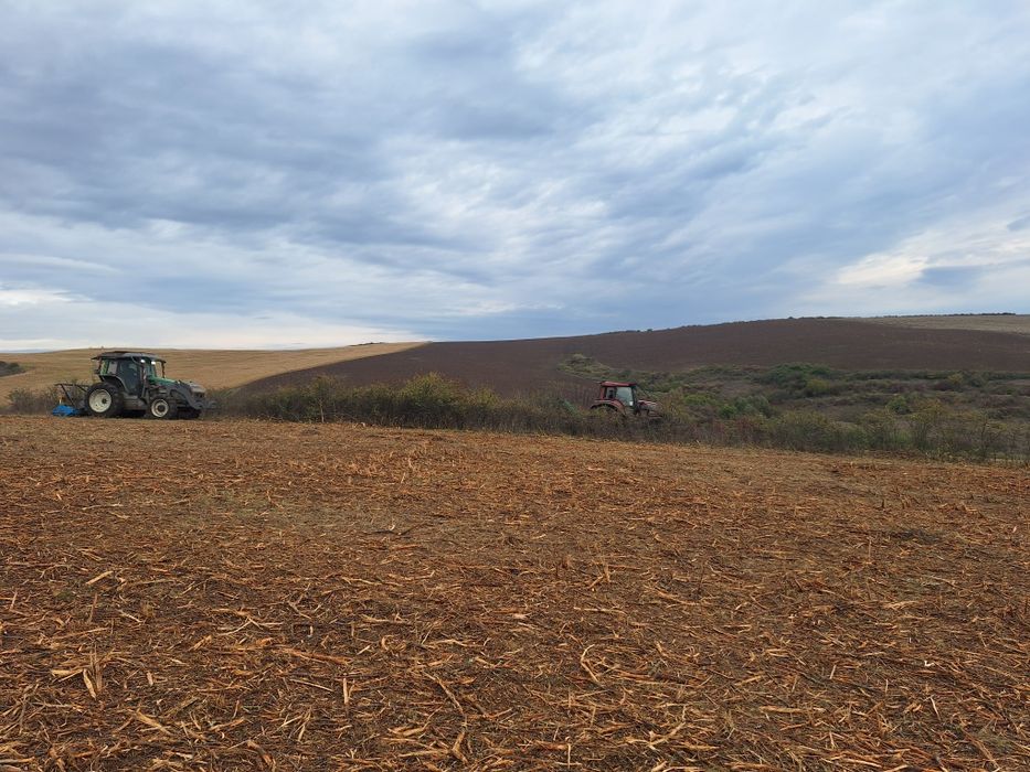 Curatam/Defrisam pasuni