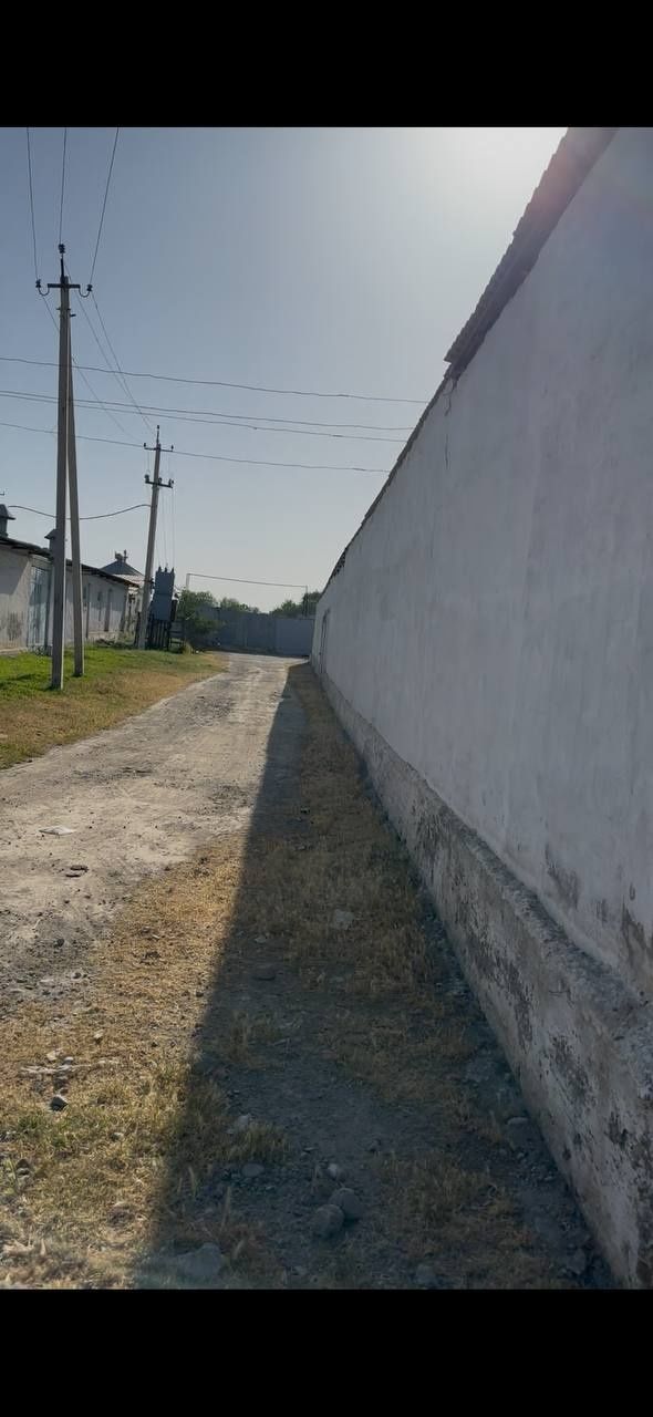 ЗАНГИОТА Ором кафе рупарасида Green house домларидан кирганда