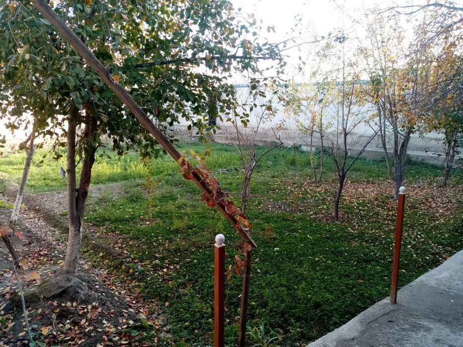 Ховли сотилади хамма шароит бор