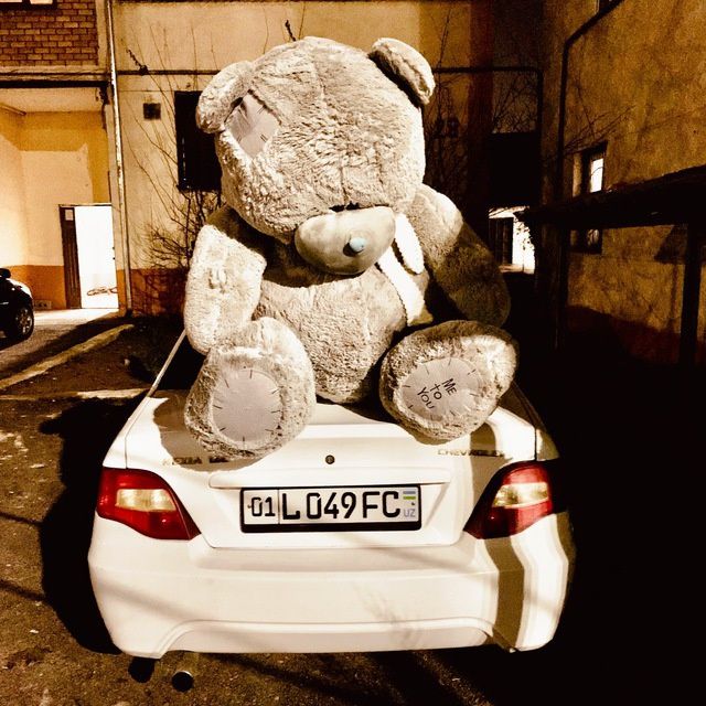 Teddi 3-metrlik Xitoy original