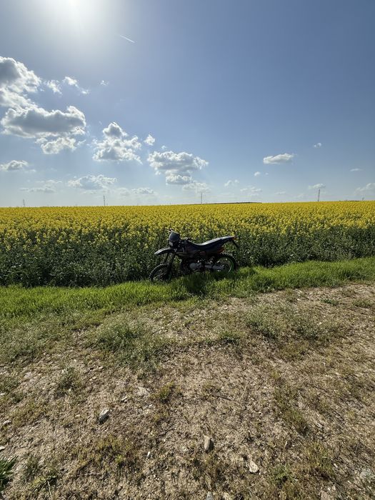 Cross aprilia mx 50 2t