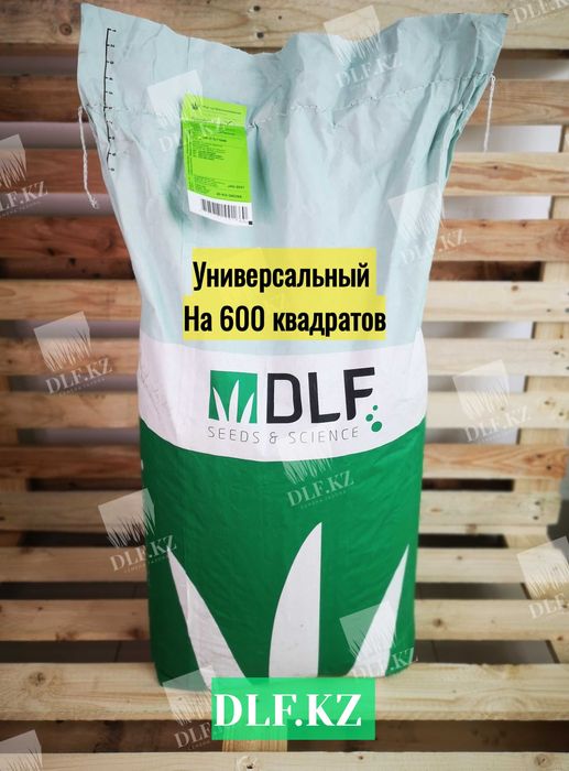 Газон Астана (семена для газона) со скидкой