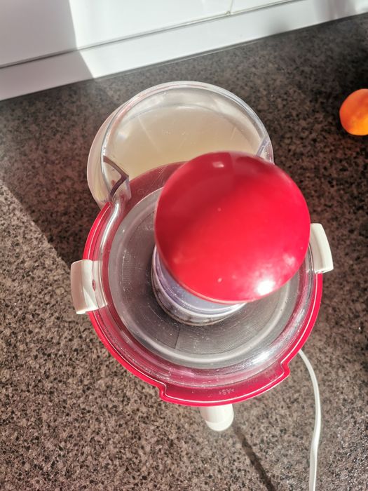 Storcător de fructe